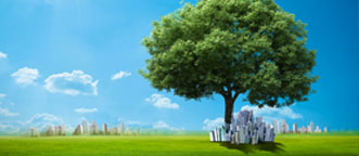 P020150210350045976528